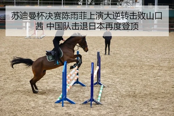 苏迪曼杯决赛陈雨菲上演大逆转击败山口茜 中国队击退日本再度登顶
